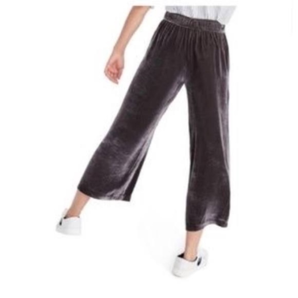 NWT Madewell Velvet Tapered Pleat Pull on Pant (S) - Picture 2 of 5